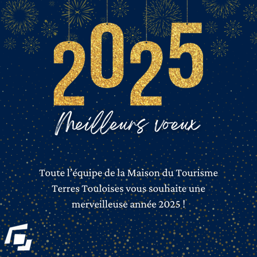 Meilleurs voeux pour cette année 2025 !