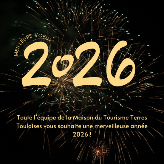 Carte de voeux site web